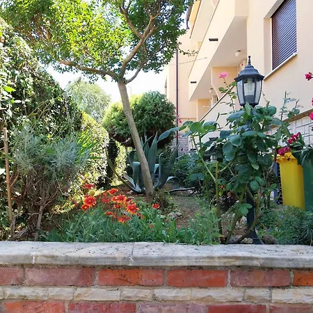 Josip * بوريتش