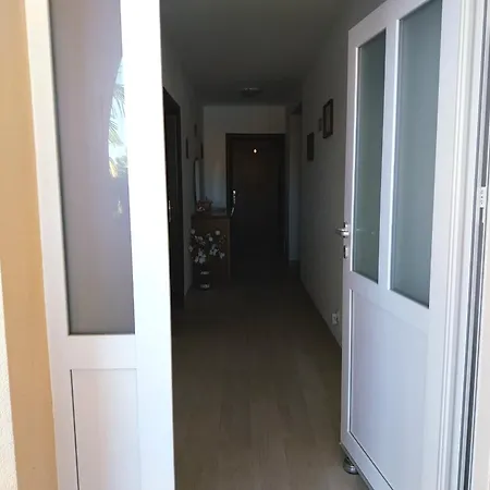 Josip * بوريتش